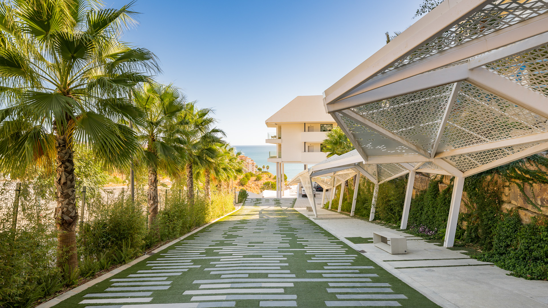 Camino peatonal con palmeras y arquitectura moderna en residencial de lujo