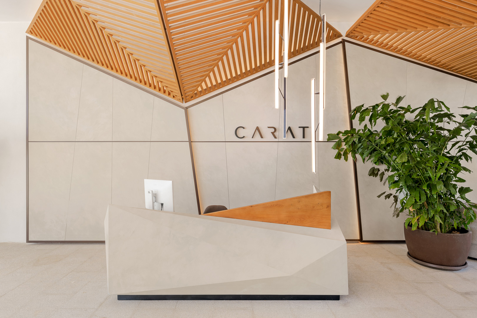 RH Carat Zonas Comunes-35