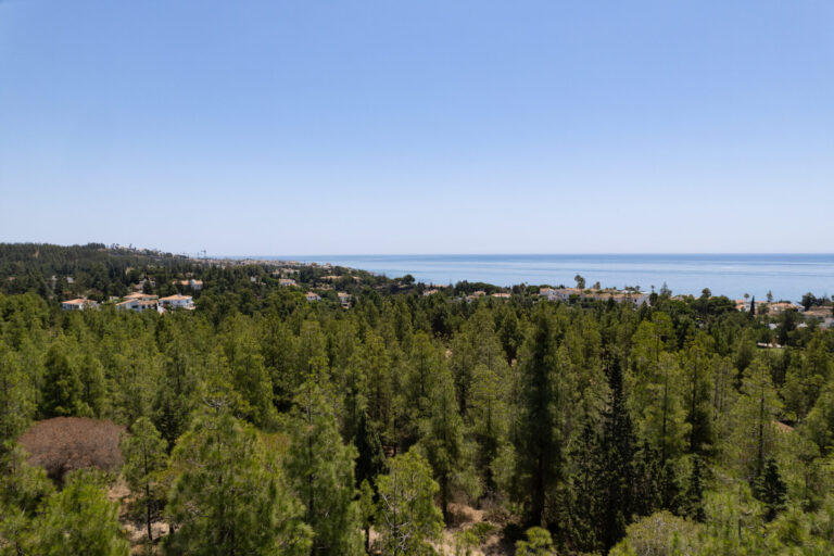 Vista panorámica del bosque con pinos y el mar Mediterráneo en la reserva el Chaparral, Málaga, Costa del Sol