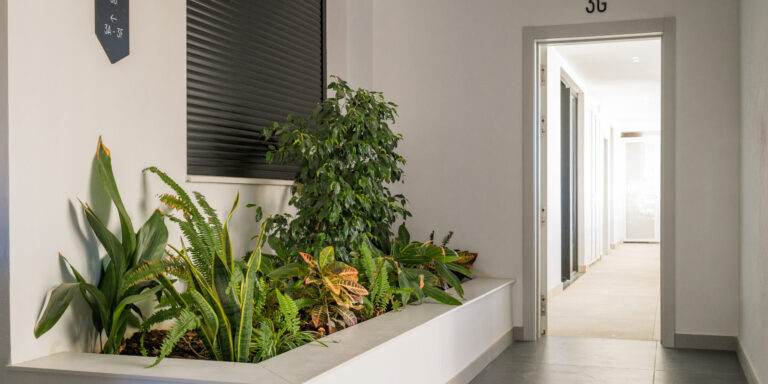 RH Carat 3G HD-1 (1)