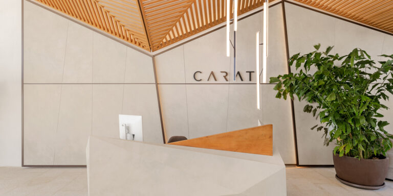 RH Carat Zonas Comunes-35